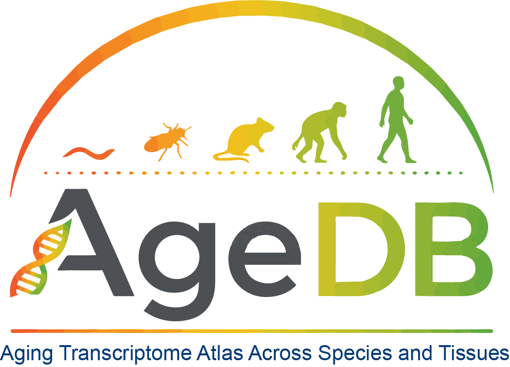 AgeDB